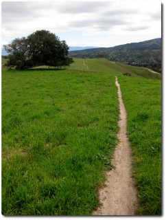 Fort Ord - Grüner Trail