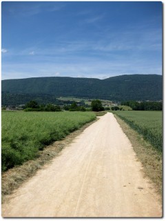 Die Kantonsgrenze in direkter Verlängerung den Jura hinauf...