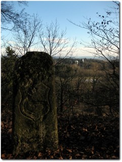 Grenzstein 1764 auf dem Zwingherrenhubel - im Hintergrund wären die Alpen