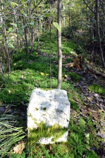 Alte Grenzmauer beim Pfaffenweiher