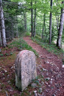 Trail bei Bergflue