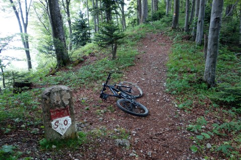 Trail bei Helfenberg