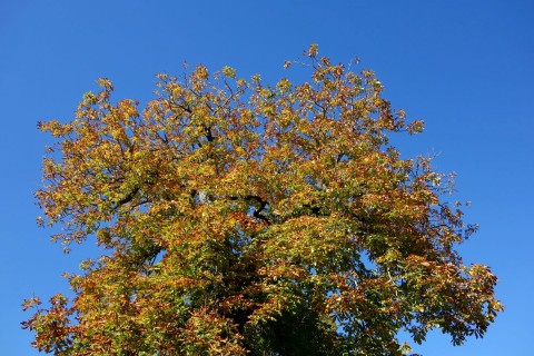 Der Herbst 14 fühlt sich wie der Sommer an