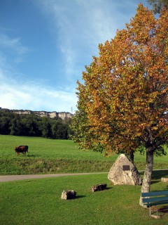 Der Herbst schleicht sich in die Landschaft