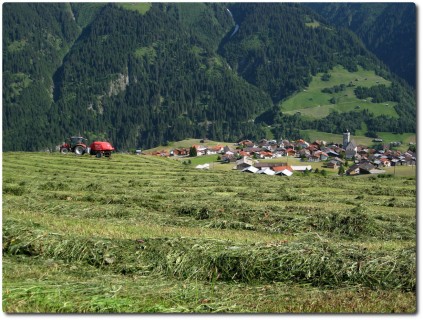 Bergheuet entlang der Wegstrecke