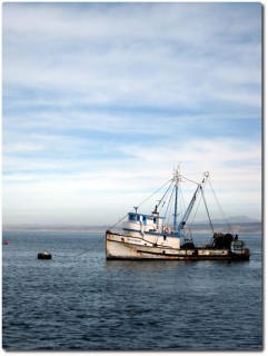 Fischerboot im Hafen von Monterey