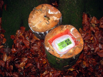 Geocache - Die holde Maid