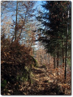 Färnstuhöchi Trail erster Abschnitt