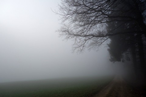 Nebel bei Lommiswil