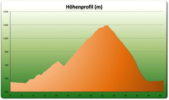 Höhenprofil Balmberg - Weissenstein Loop