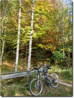 Herbstbike