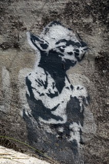 Yoda im Jura