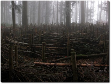 Klimaweg auf dem Sonneberg - Labyrinth