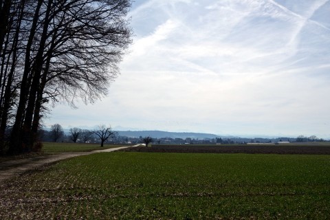 Anfahrt über Koppigen