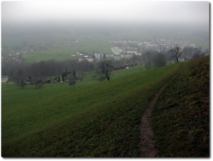 Trail vom Sonneberg nach Obernau runter