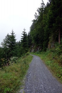 Route 245 - Auf Schotter durch den Flimser Wald