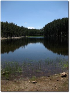 Norris Geyser Basin - Einsamer See