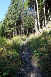 Unfahrbarer Trail im Ledigraben