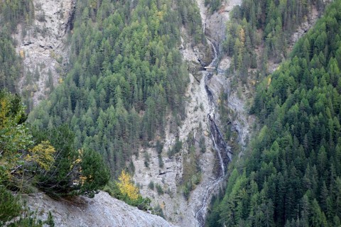 Lindwald und Blick auf die andere Talseite