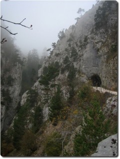 Lochbachtunnel vor Brüggli