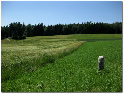 Einsamer Grenzstein im Feld