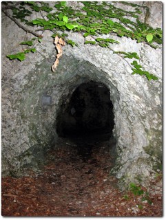Höhle am Loppertrail