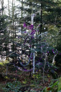 Waldweihnachtsbaum