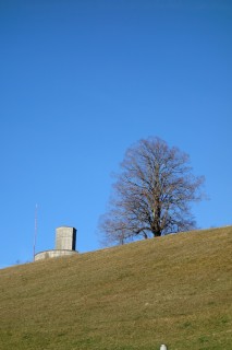 Lueg von unten