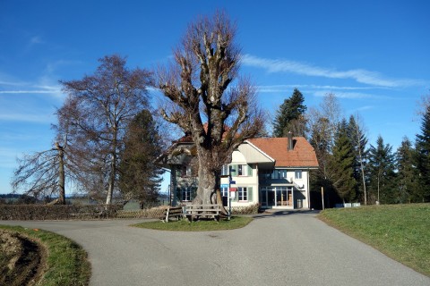 Schulhaus Lueg