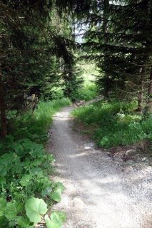 Trail Barmbrüesch - Malix - Parpan