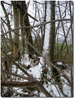 Geocache auf einen Blick !