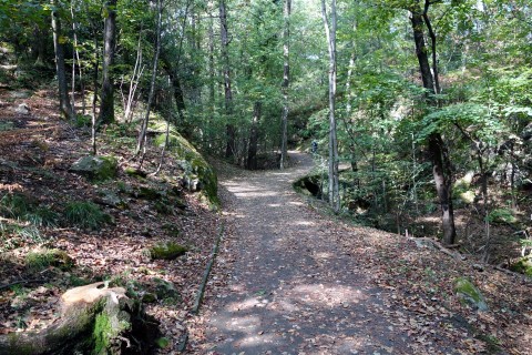 Aufstieg via Monte Verità