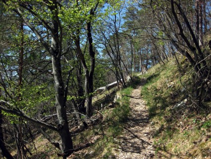 Trail Mont Raimeux - Moutier