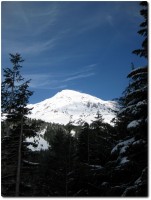 Mount Rainier - Nahe von Paradise