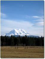 Mount Rainier - Fahrt nach Seattle