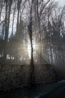 Nebelimpressionen