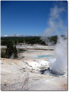 Norris Geyser Basin - Black Growler