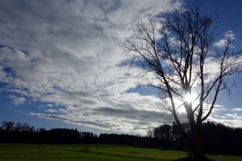 Herbststimmung in Nennigkofen 1