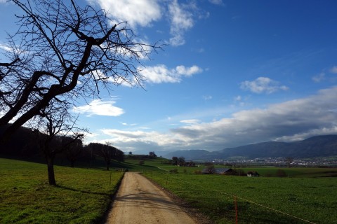 Herbststimmung in Nennigkofen 1