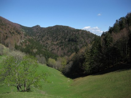 Nesselboden - Blick nach Osten