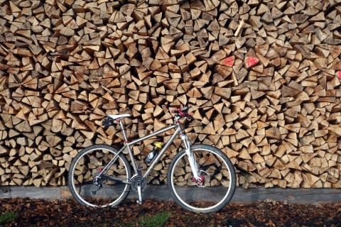 Ti29-40 vor Holzstoss