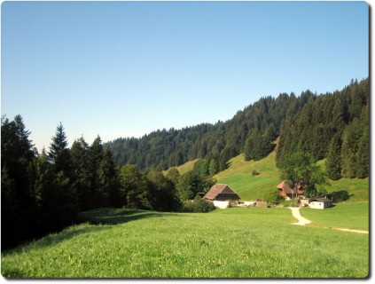 Mettlenalp bei Sonnenschein