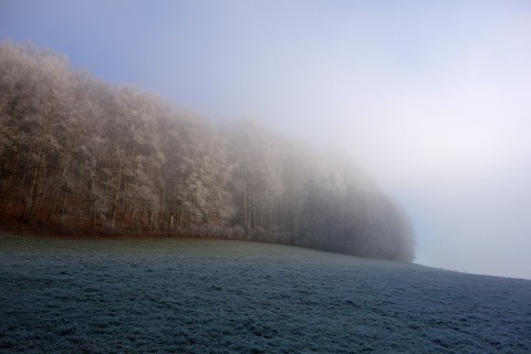 Nebelgrenze bei Rägehaule