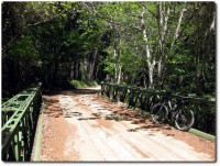 Old Coastal Road - Brücke