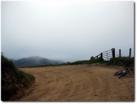 Old Coastal Road - Nebel