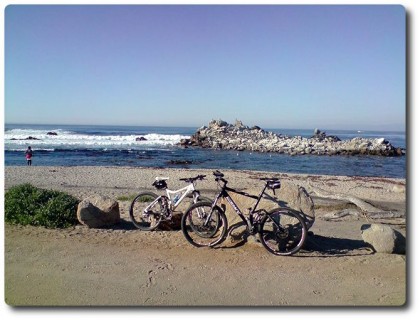 Monterey - Ocean View Boulevard
