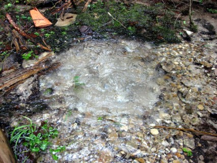 Wasserquelle im Oberwald