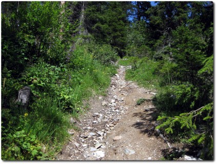 Steiles Schotterstück Trail Alp Stätz - Parpan