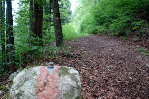 Entlang der Kantonsgrenze zum Vogelberg