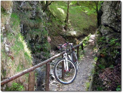 Enger Trail durch den Schofgraben